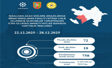 90 More Mines, 758 UXOs Discovered in Liberated Territories