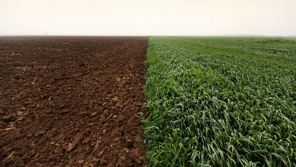 Indicators for sowing of autumn crops announced