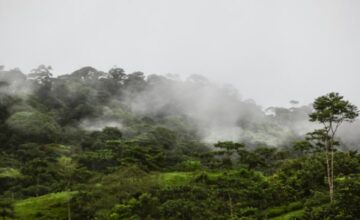 Unseen for Millions of Years: Climate Change in the Amazon Rainforest