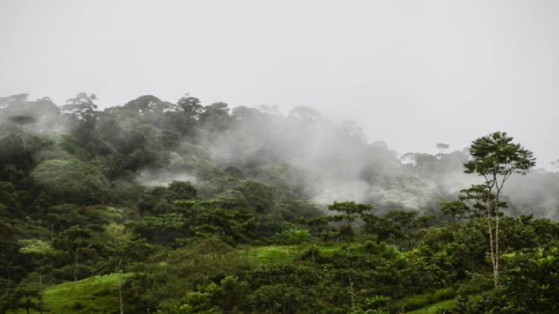 Unseen for Millions of Years: Climate Change in the Amazon Rainforest