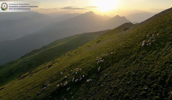 The area of nature reserves has sharply decreased