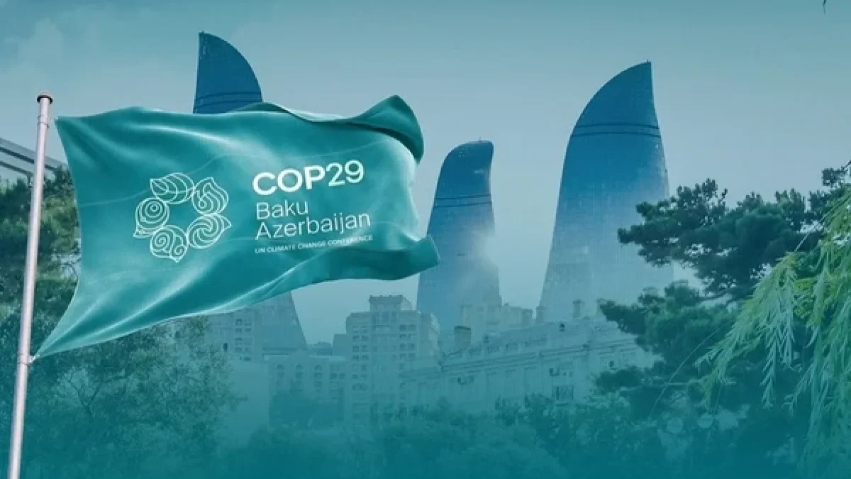 COP29 Azerbaijan Operating Company liquidated