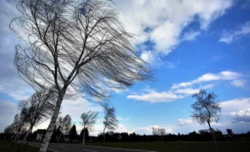 Strong wind will blow tomorrow – WARNING