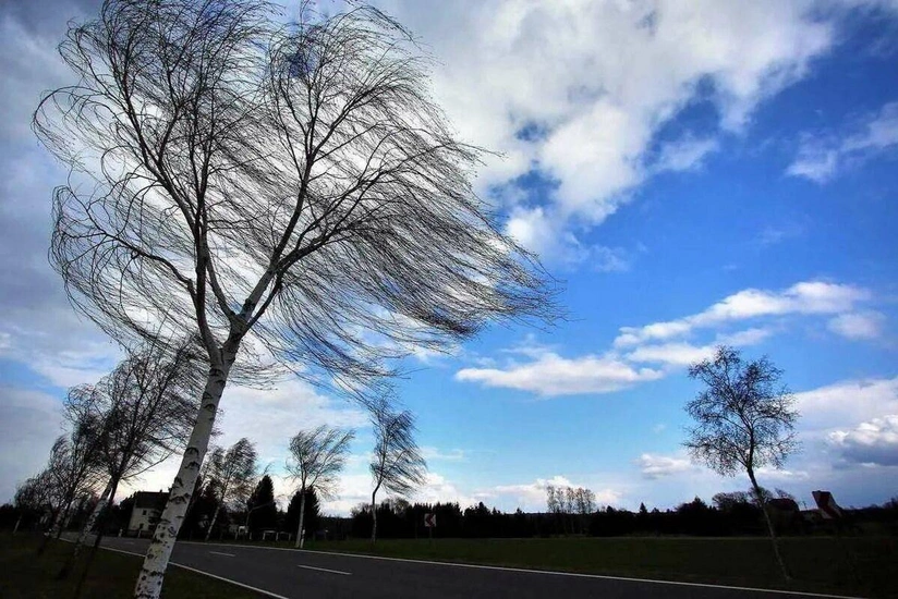 Strong wind will blow tomorrow – WARNING