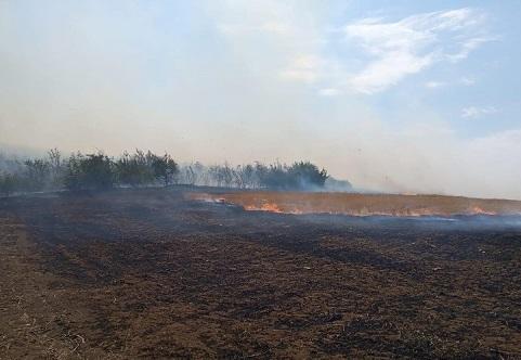 Strong Fire in Fuzuli and Jabrayil: Spread to the Border