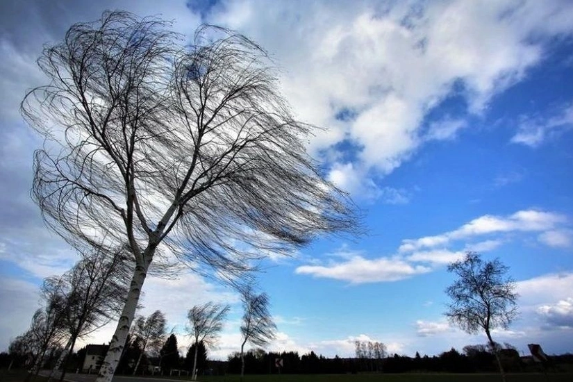 Strong wind blows and snow falls in Azerbaijani regions – ACTUAL WEATHER