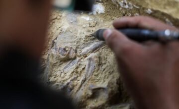 Human remains dating back 773,000 years ago found in Morocco