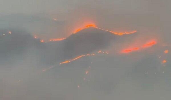 Fires in open areas in Jabrayil and Fuzuli extinguished – VIDEO