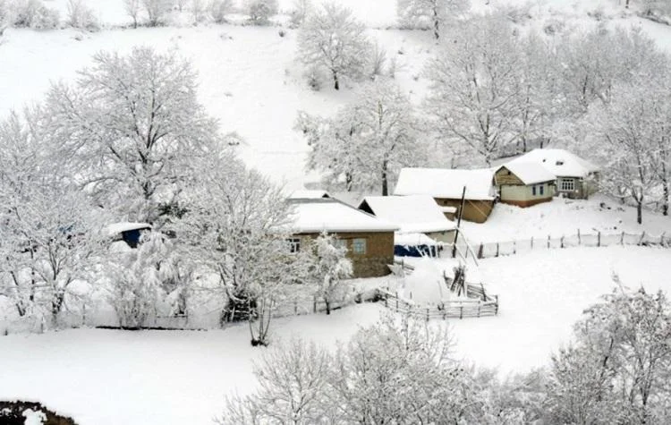 Snow height in Zagatala is 30 cm – ACTUAL WEATHER