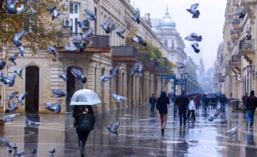 Rain in Baku, snow in regions – FORECAST