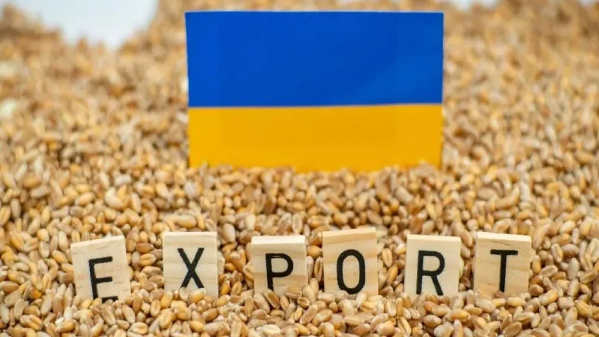 Sibiqa: Over 2 million tons of Ukrainian grain stolen in 2025