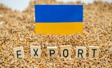 Sibiqa: Over 2 million tons of Ukrainian grain stolen in 2025