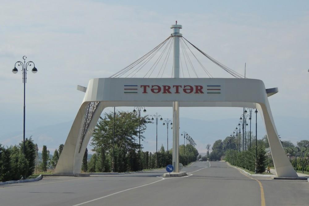 Mother and son poisoned by carbon monoxide, one dead