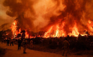 State of emergency declared in Australia due to forest fires