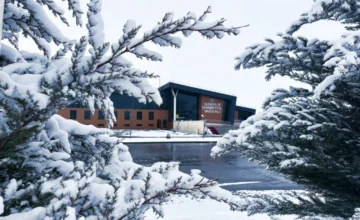 ADY to launch Ganja-Gabala passenger route next week