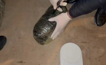 10 kilograms of drugs were found in Aghjabadi