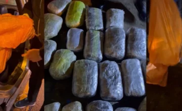 The Ministry of Internal Affairs conducted an operation, 46 kg of marijuana were discovered