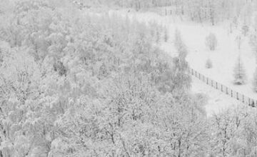 Snow depth in Moscow reached 59 centimeters