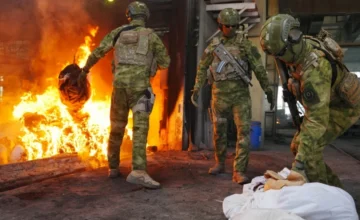 Over 858 kilograms of drugs destroyed in Azerbaijan in 25 criminal cases