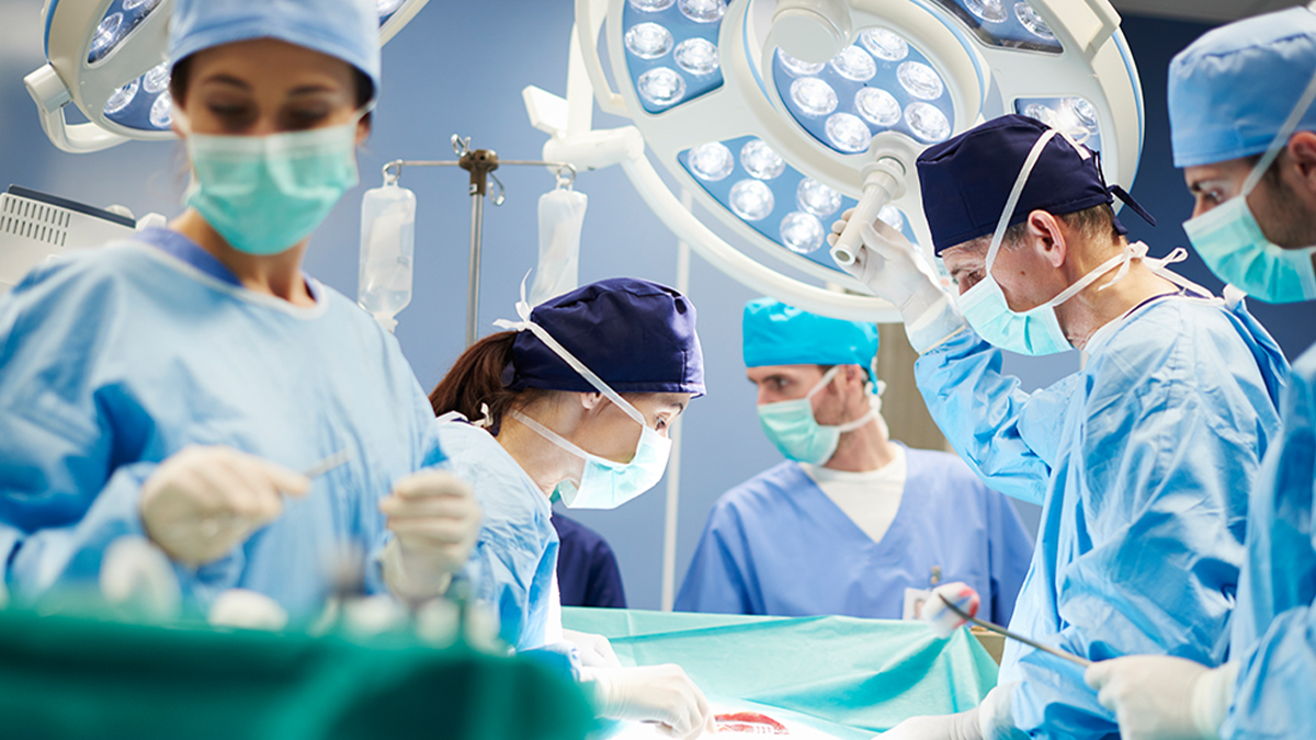 Nearly 350 organ transplantations performed last year