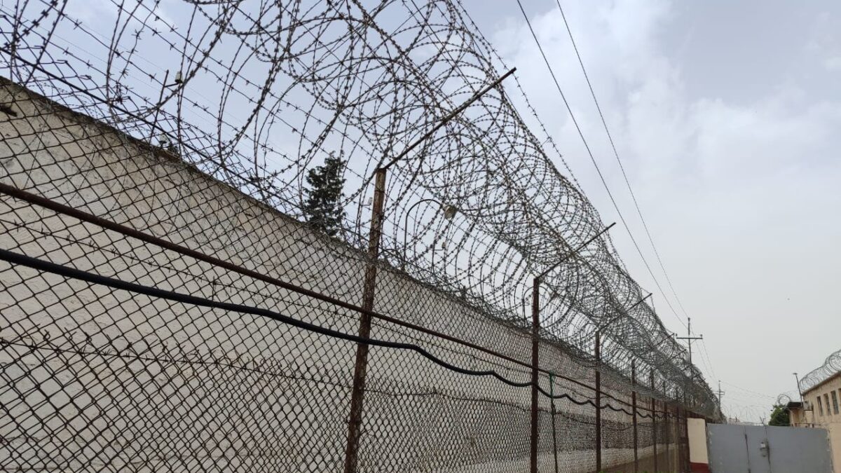 Amnesty act has been applied to more than 12,000 people so far