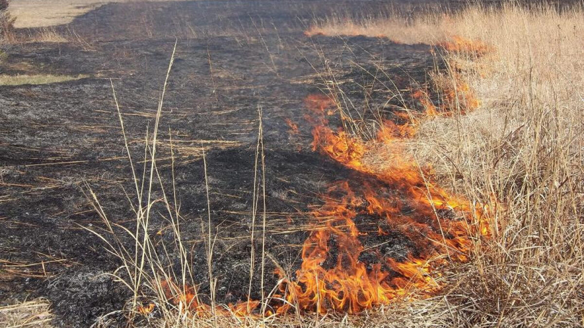 New fines, administrative detention established for burning arable land
