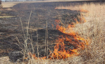New fines, administrative detention established for burning arable land