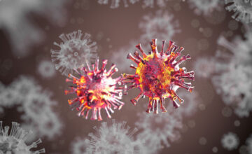 Nipah virus detected in bats in Thailand