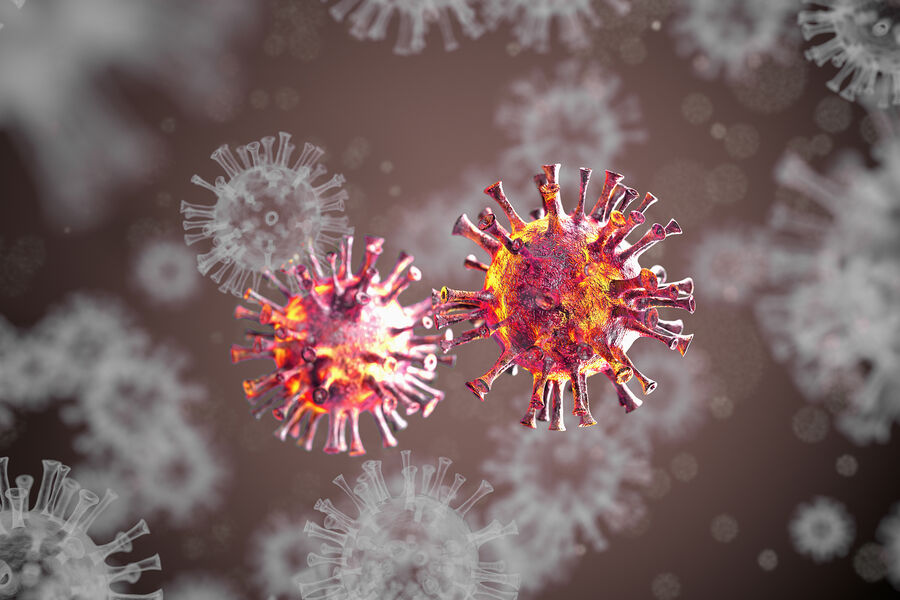 Nipah virus detected in bats in Thailand