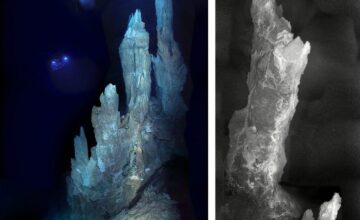 Life’s cradle discovered in lost city at the bottom of the ocean