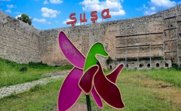 191 streets and 9,153 addresses were assigned in the liberated territories last year