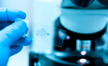 Molecular “guards” discovered in cancer cells