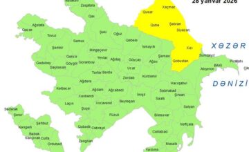 Yellow warning issued due to windy weather conditions