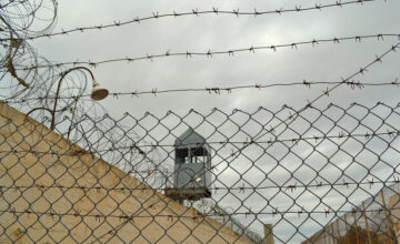 Over 14,000 people granted amnesty in Azerbaijan