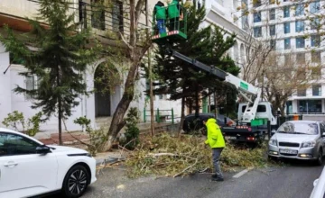9 trees broken in Baku due to strong wind