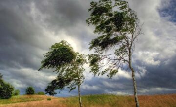 Yellow warning issued due to windy weather conditions