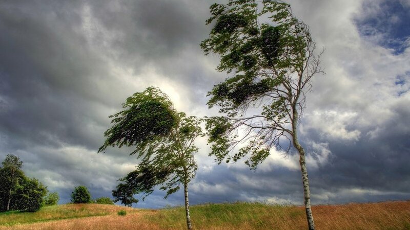 Yellow warning issued due to windy weather conditions