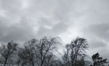 Wind will strengthen in Baku and regions – WARNING