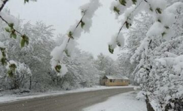 Rain in some regions, snow in most areas – ACTUAL WEATHER