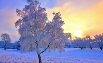 Windy weather expected in Baku tomorrow, snow in mountainous areas