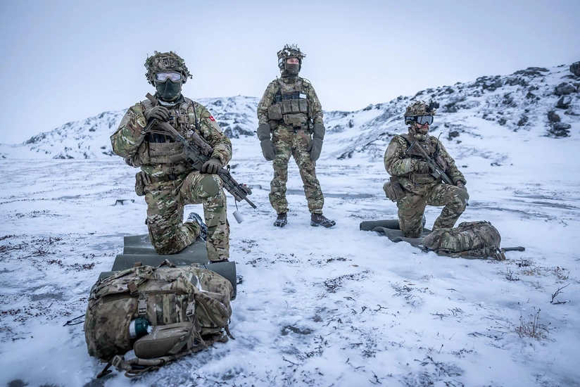 Media: NATO plans to launch “Arctic Sentry” mission in the coming days