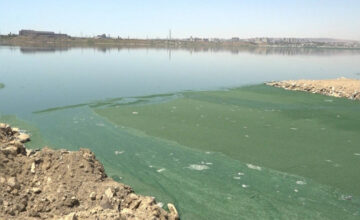 Administrative protocol drawn up regarding those who discharge wastewater into Lake Boyukshor