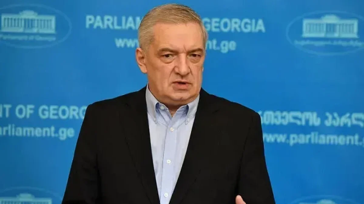 Vice-Speaker: Georgia is pleased with the improvement of Azerbaijan-Armenia relations