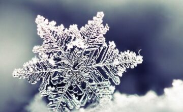 Tomorrow’s weather forecast announced