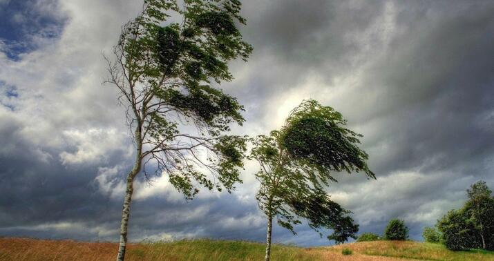 Wind will intensify in some places – WARNING