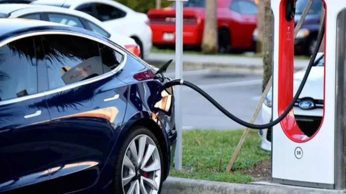 Indicators for the import of electric and hybrid cars have been announced