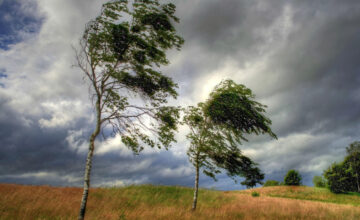 Wind will intensify in some places – WARNING