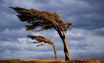 Wind will intensify in some areas – WARNING
