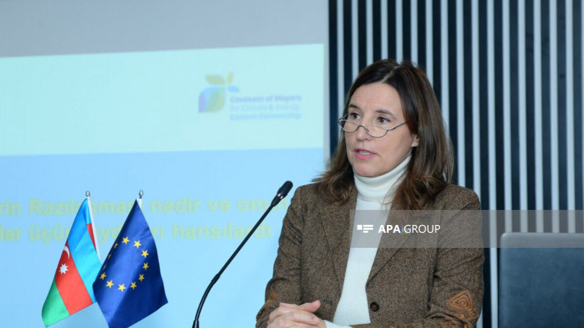 EU Ambassador: Azerbaijan is also suffering from climate change