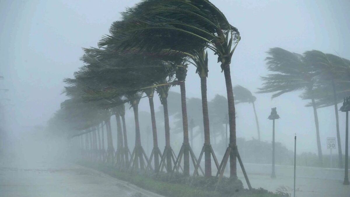 Wind will strengthen in Baku and regions